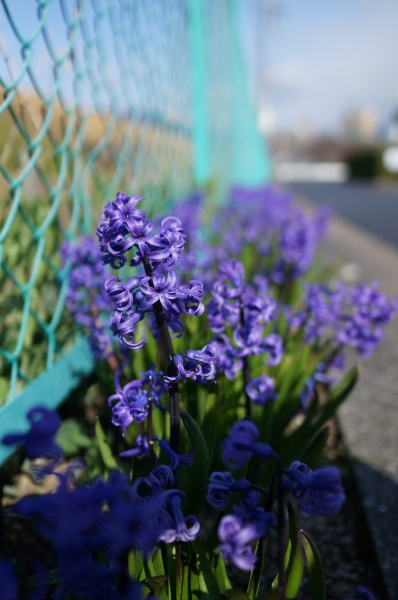 DSC01092.JPG