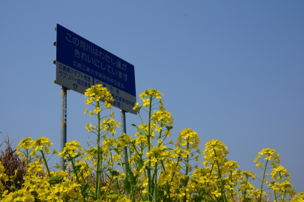 DSC01110.JPG