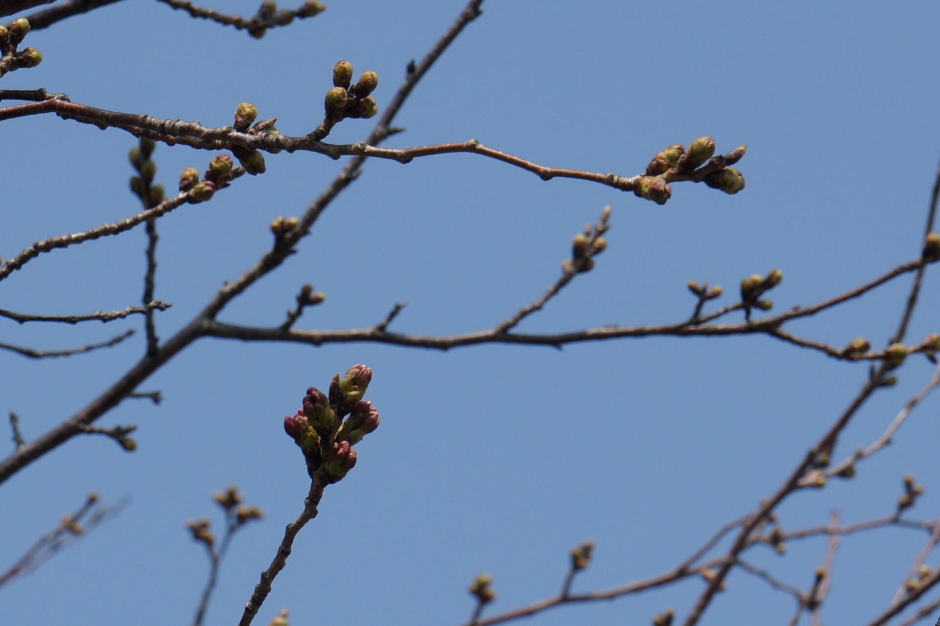 DSC01121.JPG