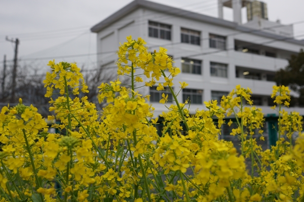 DSC01103-2.jpg