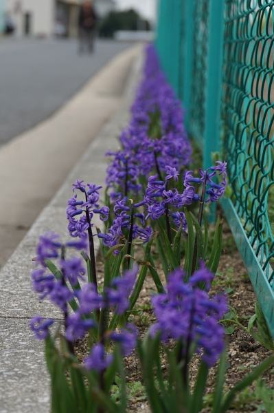 DSC01110-2.jpg