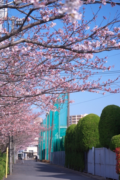 DSC01141-3.jpg