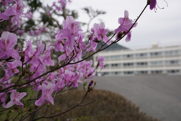 DSC01155.JPG