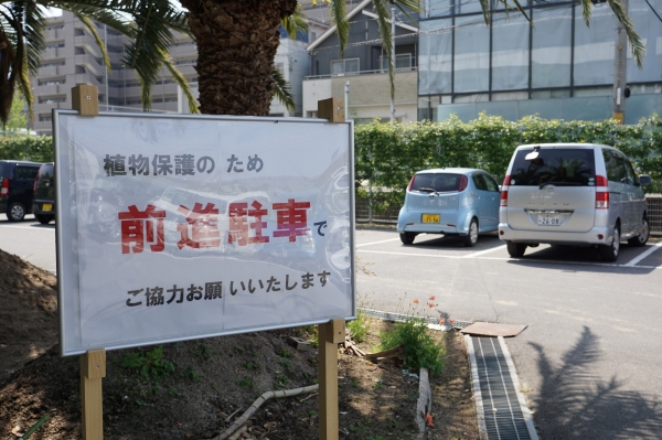DSC01251.JPG