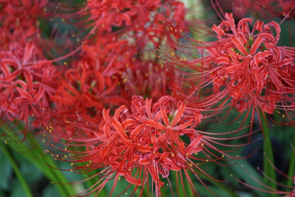 DSC01518.JPG