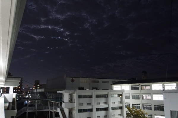 DSC01534.JPG