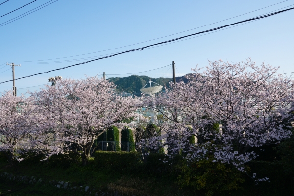 DSC00031.JPG