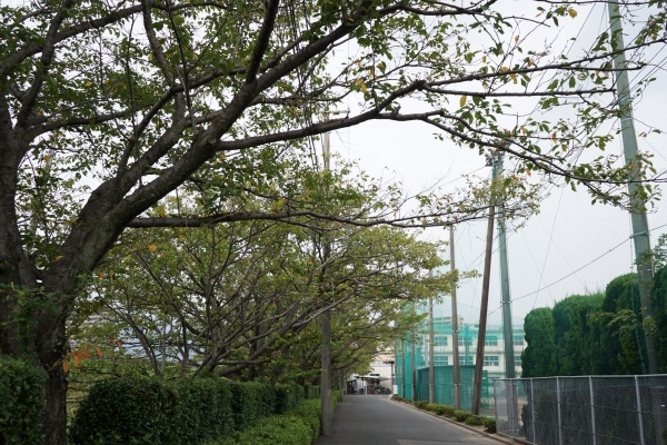 DSC00813.JPG