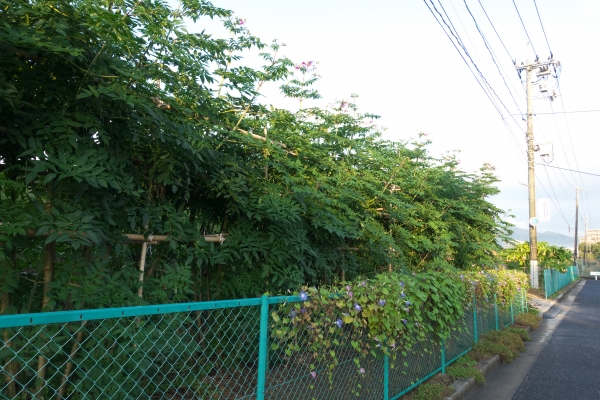 DSC00178.jpg