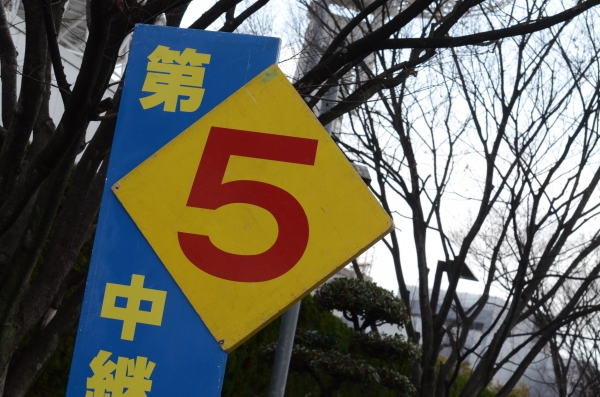 DSC_8129.JPG