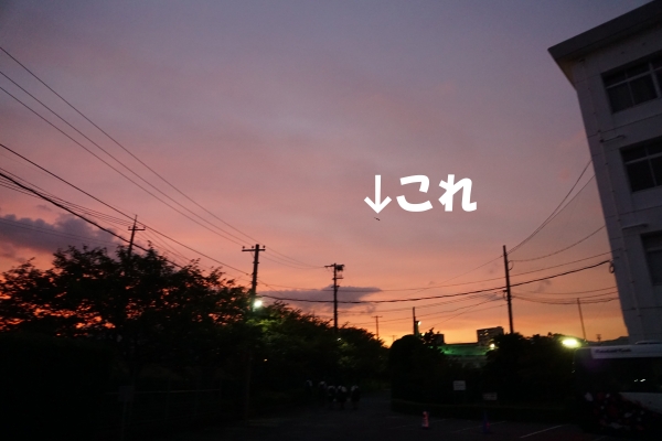 DSC00237のコピー.jpg